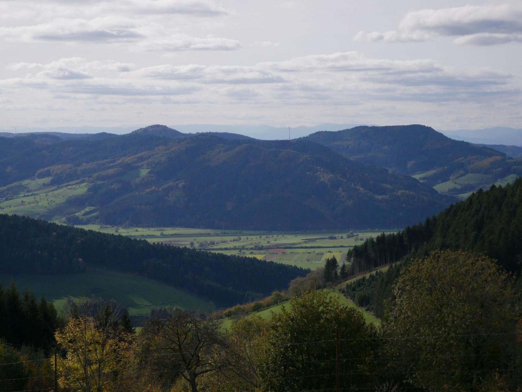 Buchenhof * Zell am Harmersbach