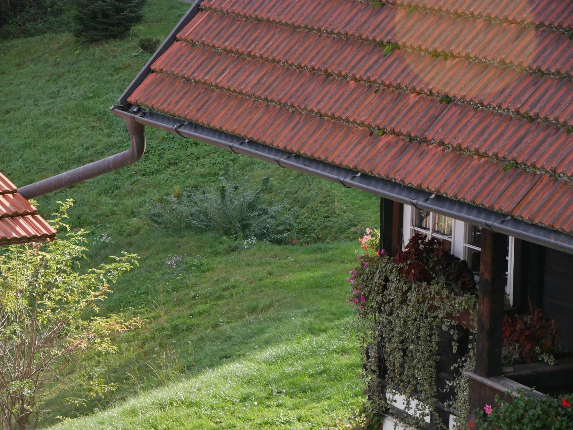 Buchenhof * Zell am Harmersbach