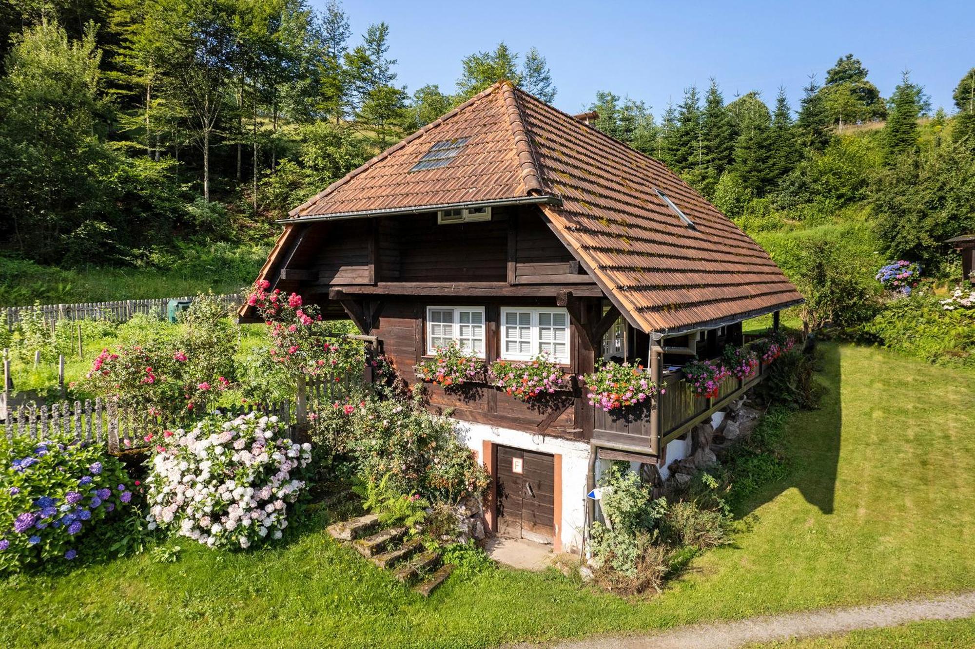 Buchenhof Ferienhaus *